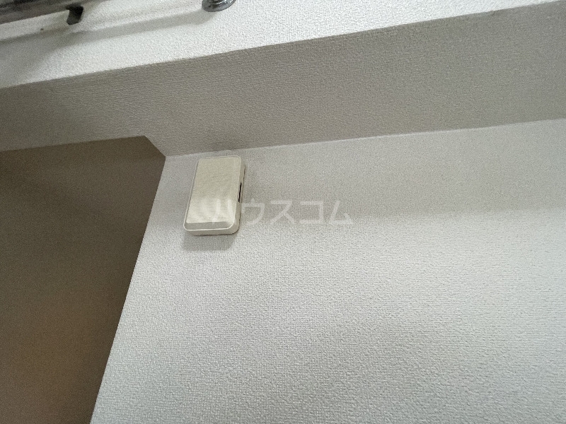 17/25 その他画像