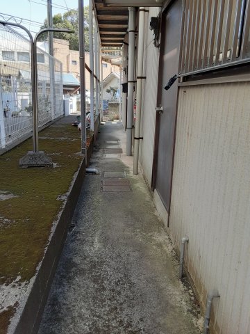 20/30 その他画像