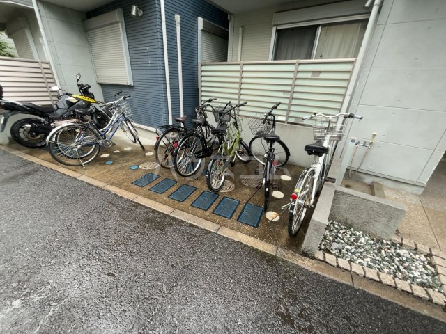 15/24 その他画像