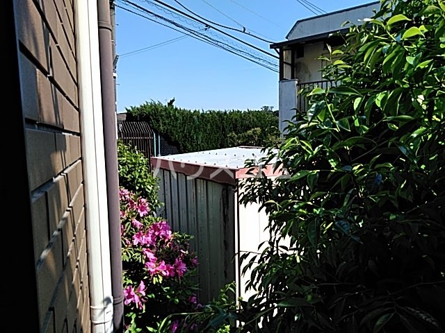 20/30 その他画像