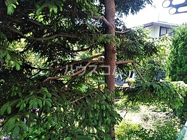 24/30 その他画像