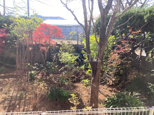 15/29 その他画像