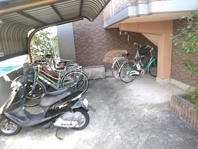 20/30 その他画像