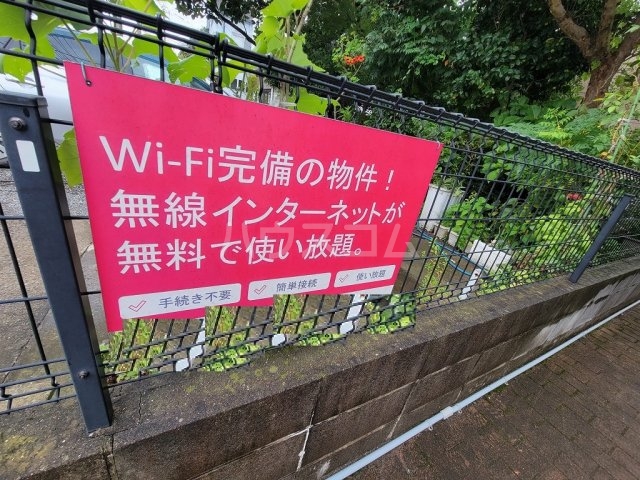 29/30 その他画像