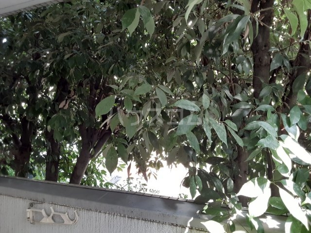 20/29 その他画像