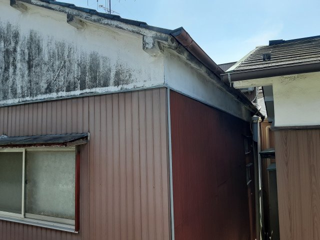 29/30 その他画像