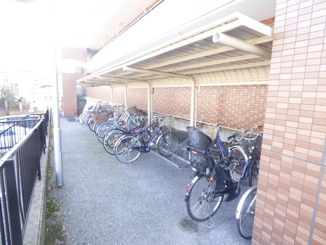 20/30 その他画像