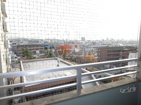 13/25 その他画像