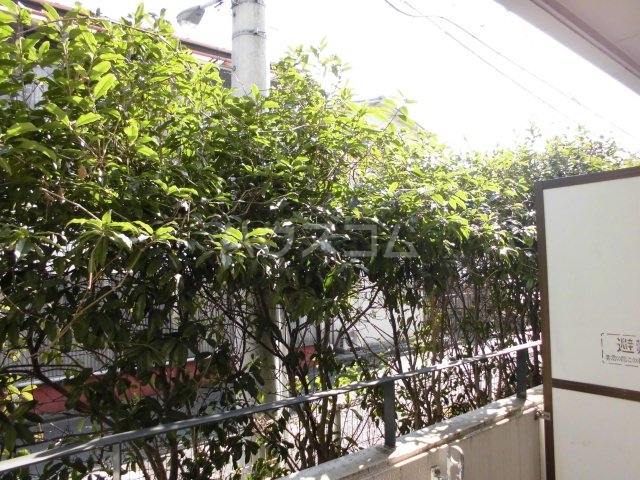 17/30 その他画像