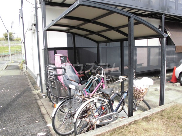 20/30 その他画像