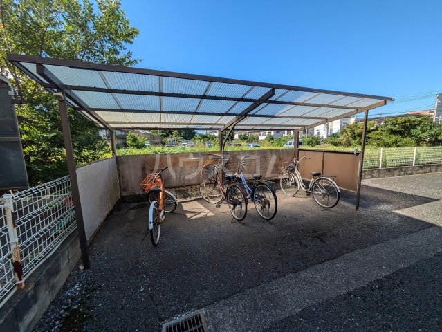 20/30 その他画像