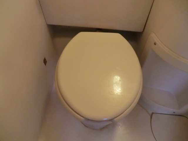 8/28 トイレ