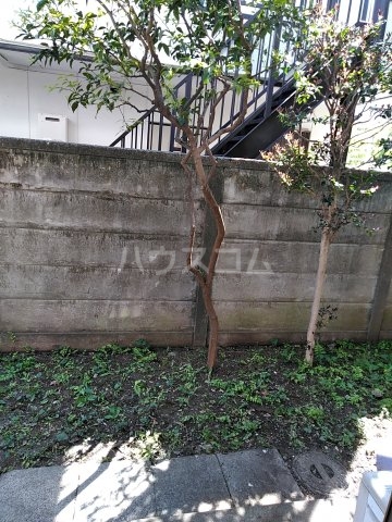 16/21 その他画像