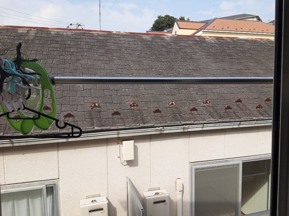 14/30 その他画像