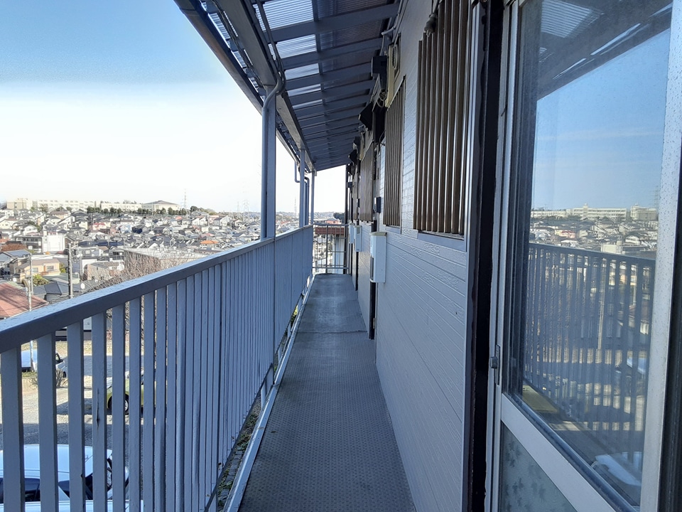 20/30 その他画像