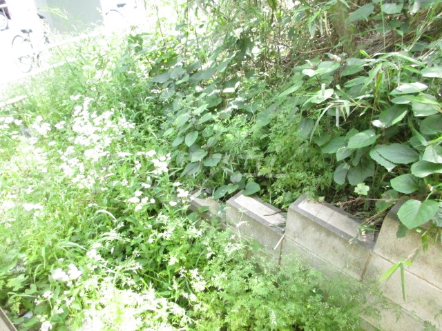 17/27 その他画像