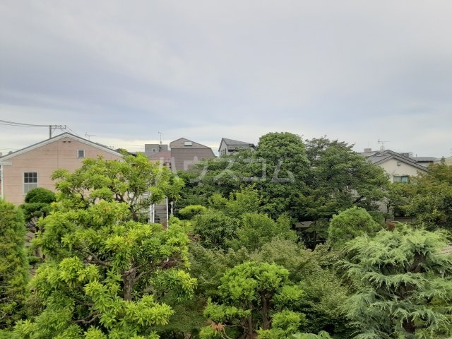 15/30 その他画像