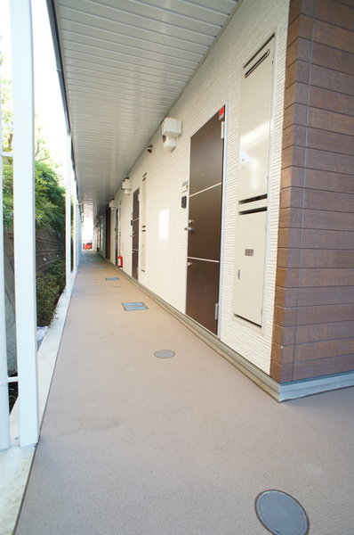 17/29 その他画像