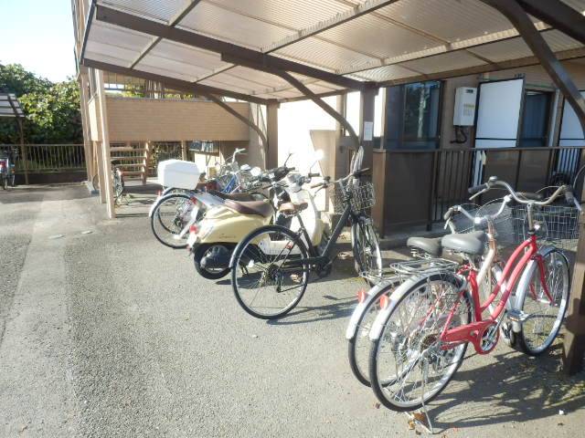 20/30 その他画像