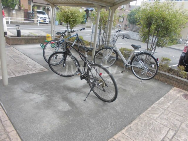 21/24 その他画像