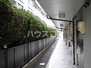 13/19 その他画像