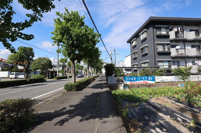 13/16 その他画像