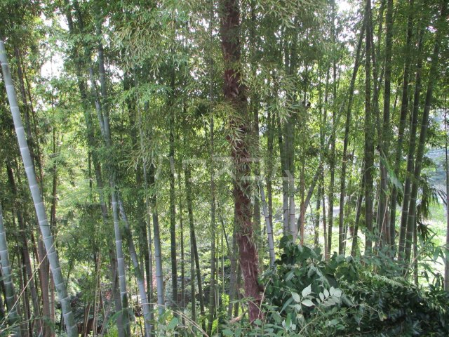 12/17 その他画像