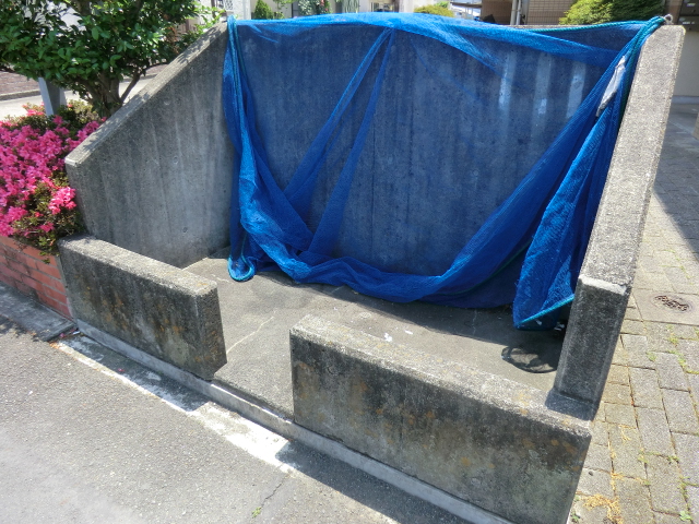 21/24 その他画像