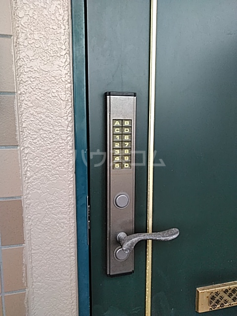 25/30 その他画像