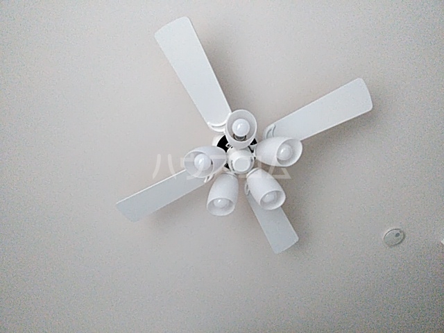 18/29 その他画像