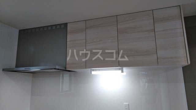 21/24 その他画像