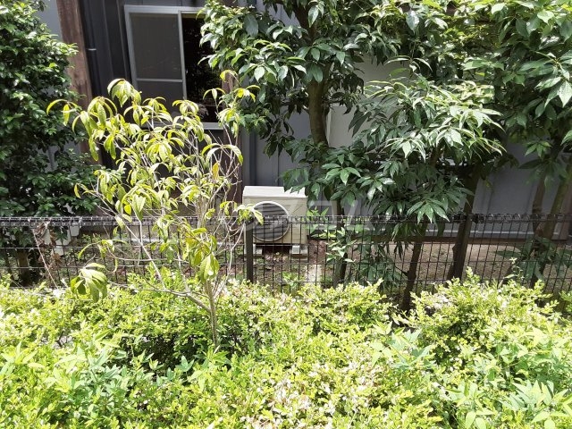 20/24 その他画像