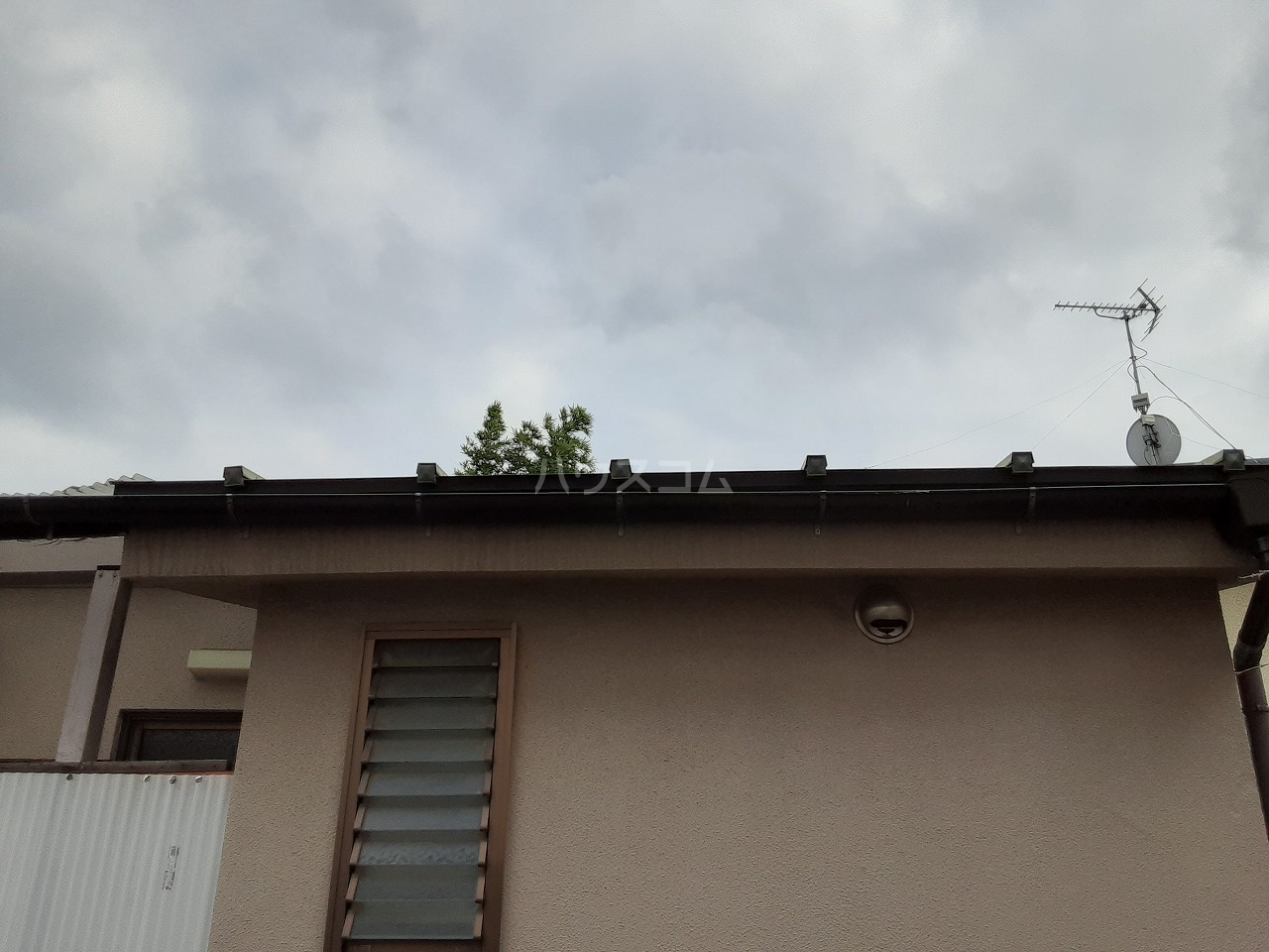 12/21 その他画像