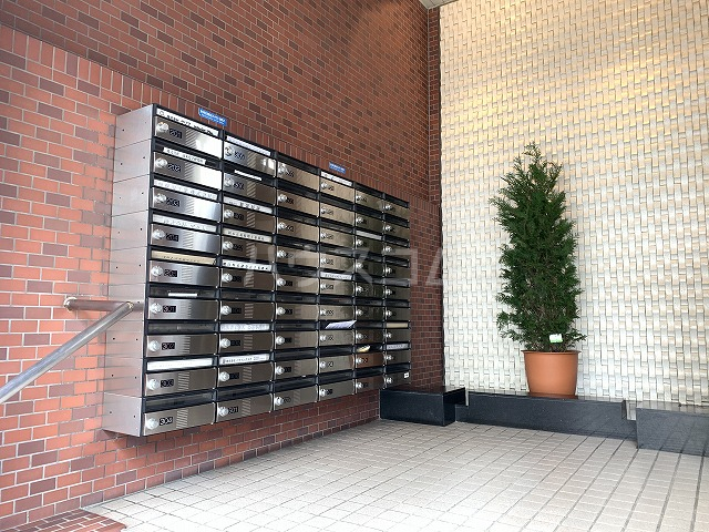 25/30 その他画像