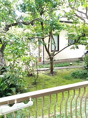 20/28 その他画像