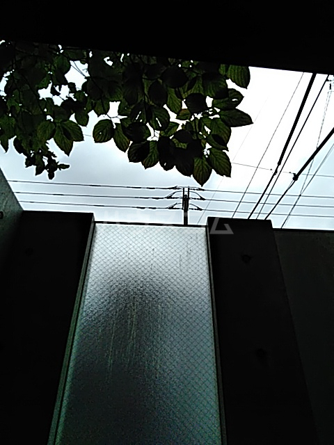 25/29 その他画像