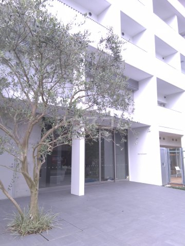 19/26 エントランス