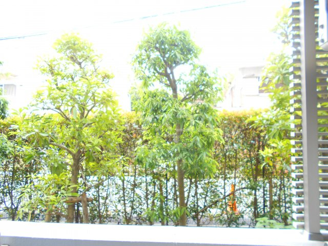 18/28 その他画像