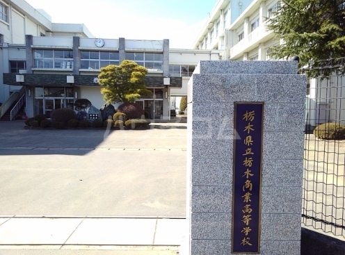 17/29 その他画像