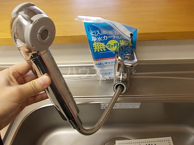 15/29 その他画像