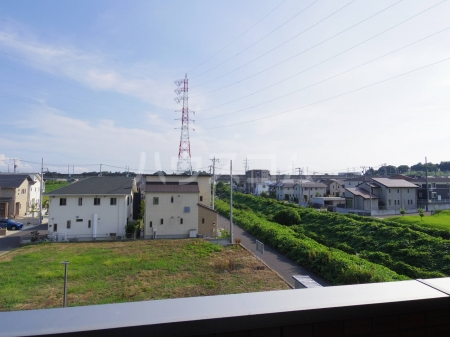 20/30 その他画像