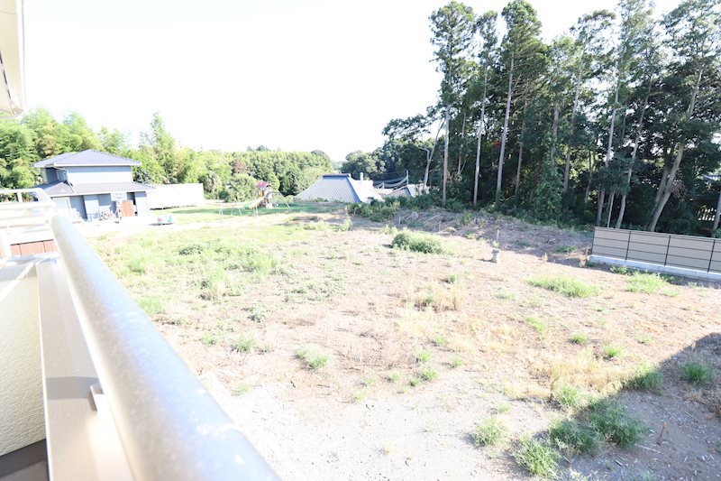 11/16 その他画像