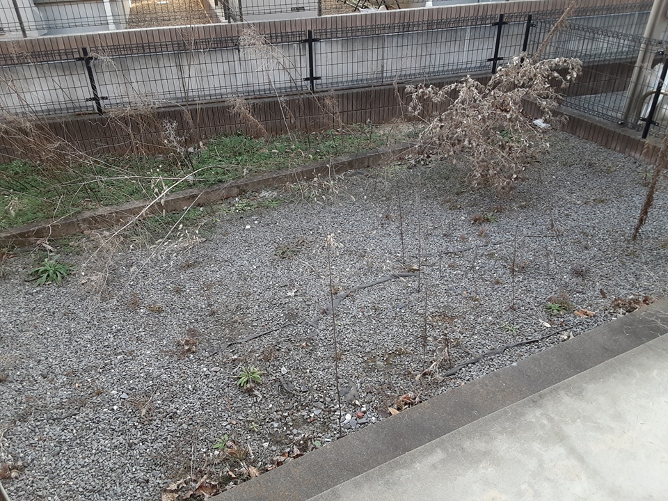 15/24 その他画像