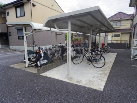 その他共有