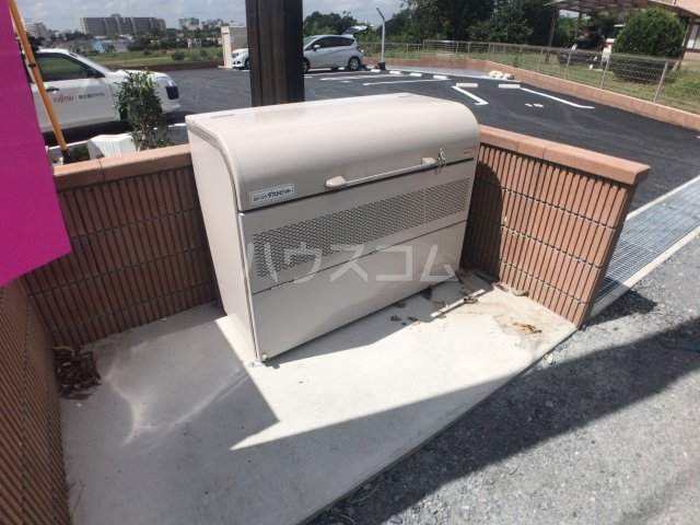 17/24 その他画像