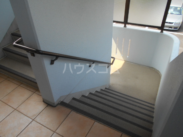 20/30 その他画像