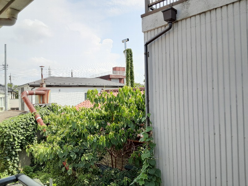 19/25 その他画像