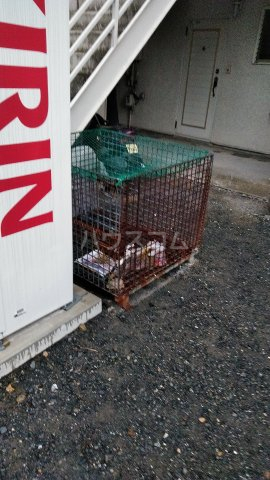 15/28 その他画像