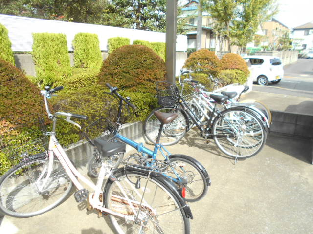 13/27 その他画像