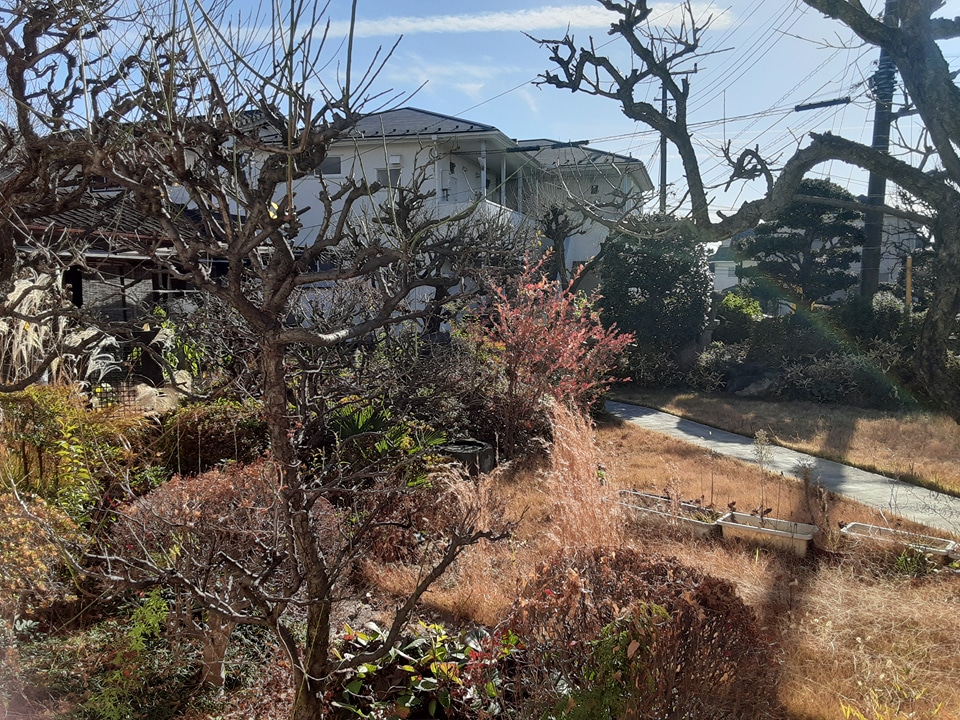 20/29 その他画像